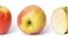 Apple device updates