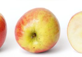 Apple device updates