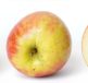 Apple device updates