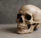 A close-up view of a human skull resting on a neutral background, symbolizing death.
