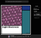 AI-generated music